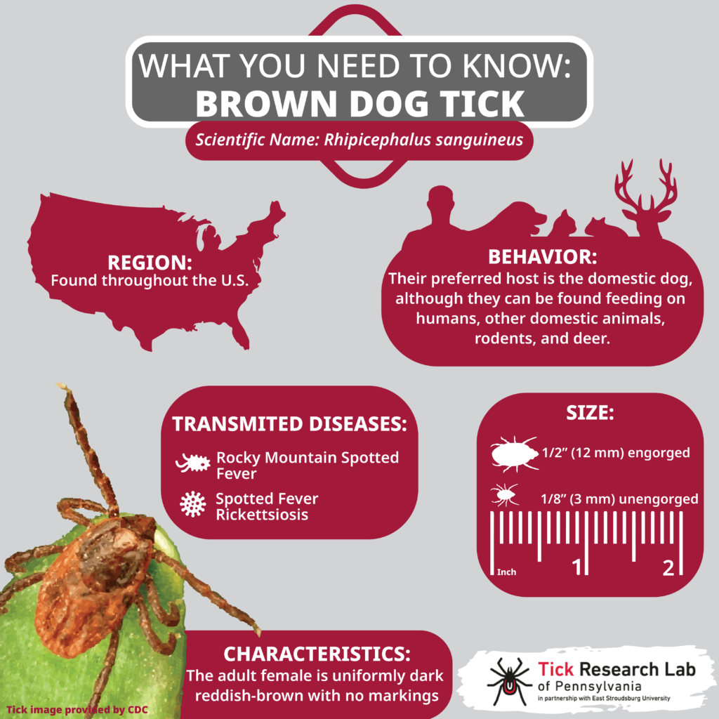 are certain dogs more prone to ticks