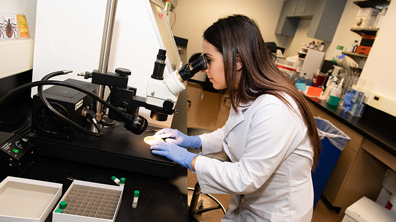pennsylvania chester county lab tick testing pennsylvania chester county lab tick testing